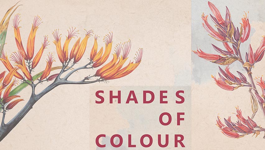A poster advertising Shades of Colour.
